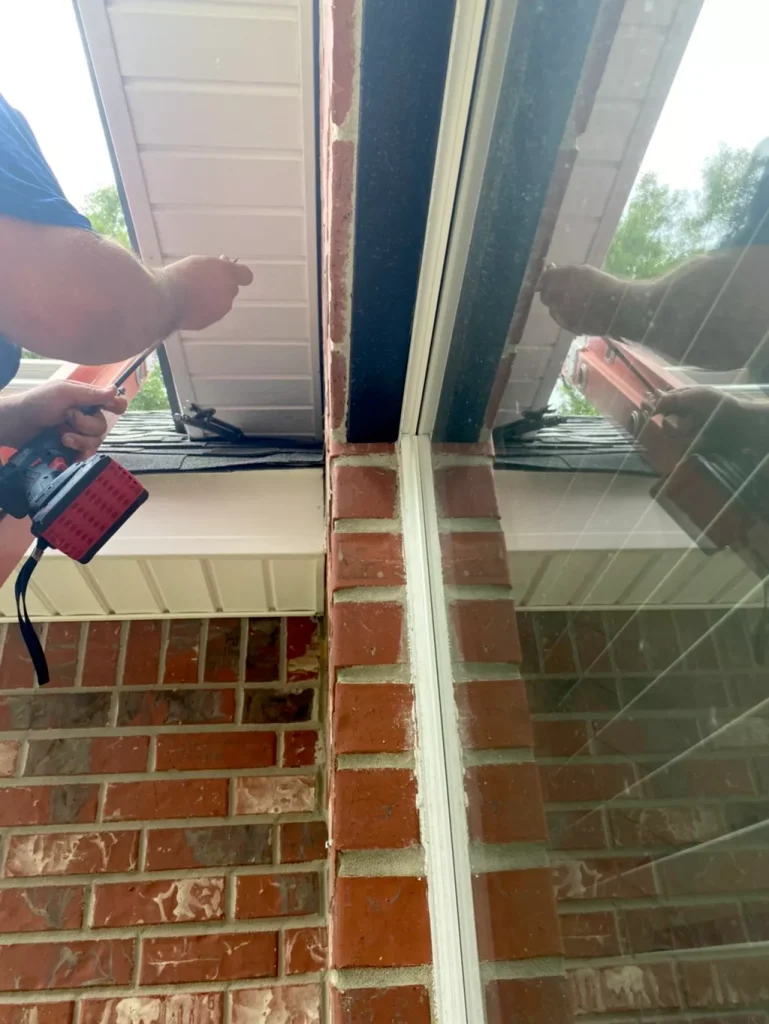 Pest Control in Covington, LA