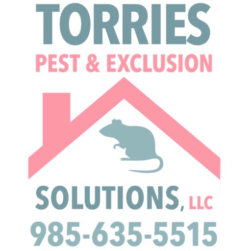 Torries Pest & Exclusion Solutions