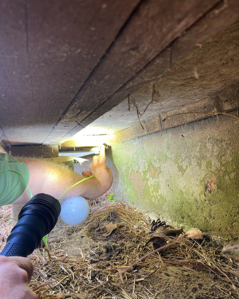 Pest Control in Covington, LA