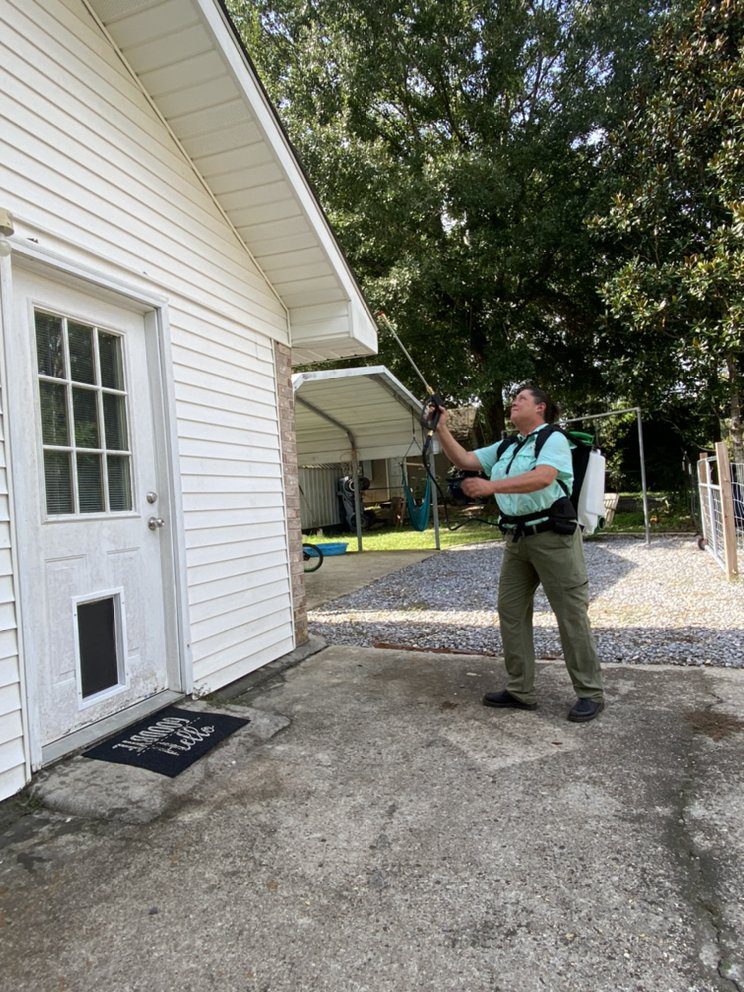 Pest Control in Covington, LA